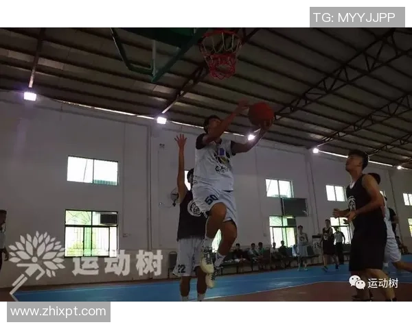 深圳篮球队在城市联赛中以95分稳居积分榜首位展现强劲实力