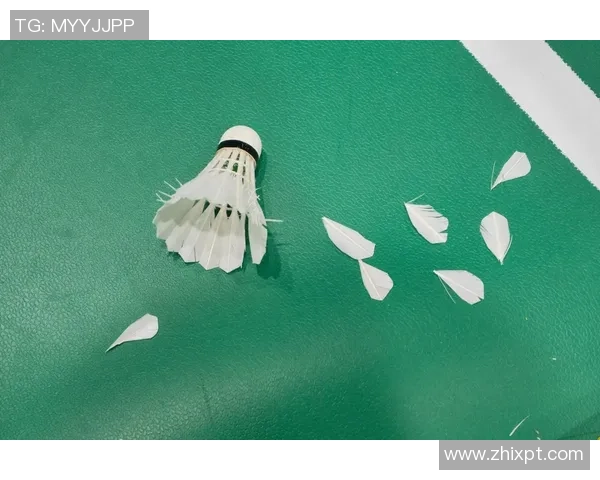 羽毛球新手攻略：个人能力入门指南_1